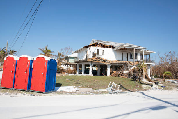 Best Tree Risk Assessment  in Mineville, NY